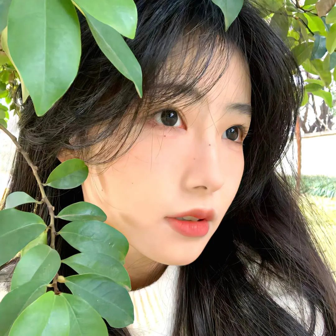 水牛骑士